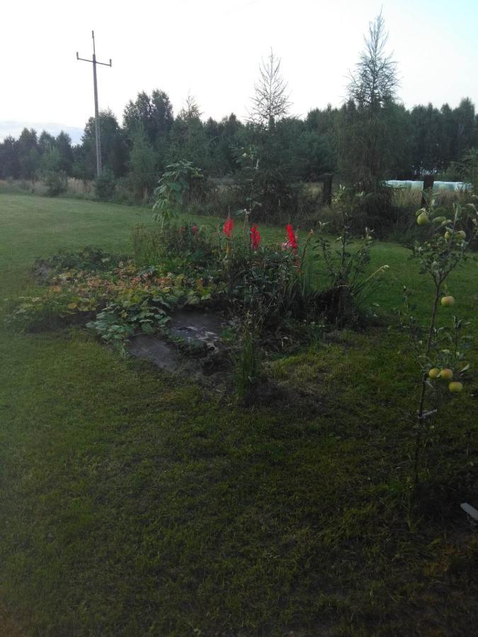 Noclegi Przy Kominku Miedzyles  Exterior foto